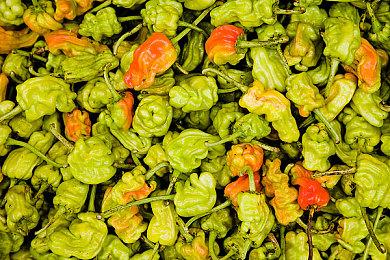 《单车快递公司》街头涂鸦+自行车快递的独特冒险